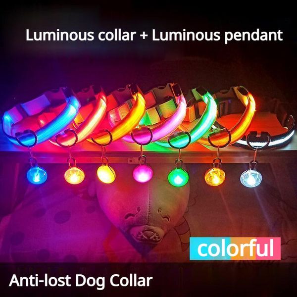pet luminous collar for walking the dog at night anti-lost teddy golden retriever large medium small cats collars & leashes
pet luminous collar for walking the dog at night anti-lost teddy golden retriever large medium small cats collars & leashes