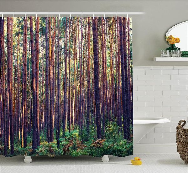 shower curtains farm house curtain forest in the morning light tall trees trunks greenery natural environment wall decoration
shower curtains farm house curtain forest in the morning light tall trees trunks greenery natural environment wall decoration