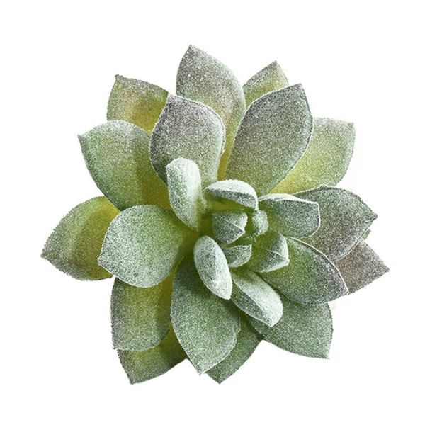 decorative flowers & wreaths mini artificial succulent flocking plants unpotted faux decoration simulated meatys 2021
decorative flowers & wreaths mini artificial succulent flocking plants unpotted faux decoration simulated meatys 2021