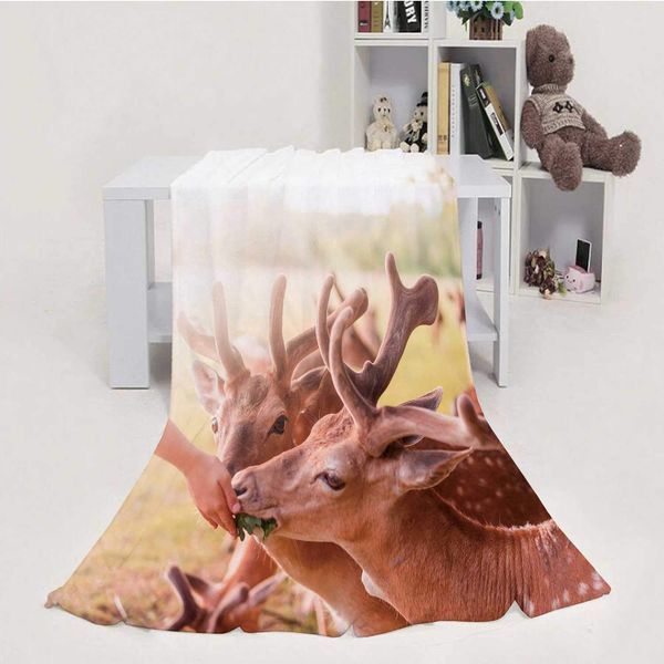 feeding pretty fallow deers,soft luxuries throw blanket microfiber soft throw 70''x80''(wxl)
feeding pretty fallow deers,soft luxuries throw blanket microfiber soft throw 70''x80''(wxl)