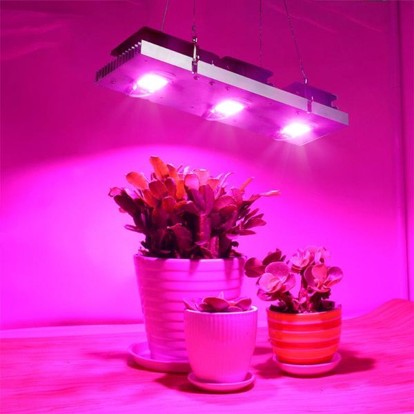 grow light full spectrum 3000k 3500k 5000k lamp indoor tent greenhouse hydroponic plants veg & flowering stage lights
grow light full spectrum 3000k 3500k 5000k lamp indoor tent greenhouse hydroponic plants veg & flowering stage lights