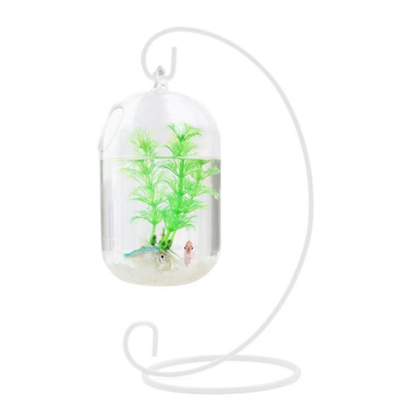 aquariums 15cm suspended transparent hanging glass fish tank infusion bottle aquarium flower plant vase for home decoration (o
aquariums 15cm suspended transparent hanging glass fish tank infusion bottle aquarium flower plant vase for home decoration (o
