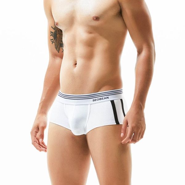 underpants seobean men's sportswear pure cotton boxers with white stripes and two bars on the side fashionable youth, Black;white
underpants seobean men's sportswear pure cotton boxers with white stripes and two bars on the side fashionable youth, Black;white