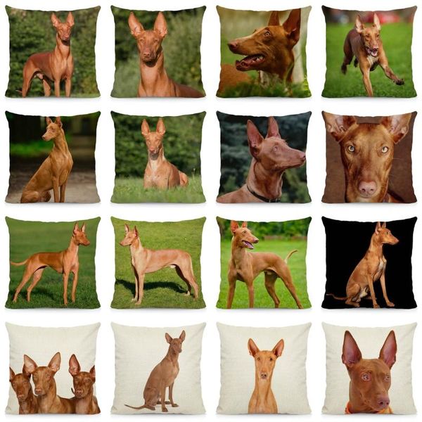 cushion/decorative pillow cute pharaoh hound pillowcase home decoration throw covers dog pattern cushion cover 45x45cm dwg053
cushion/decorative pillow cute pharaoh hound pillowcase home decoration throw covers dog pattern cushion cover 45x45cm dwg053