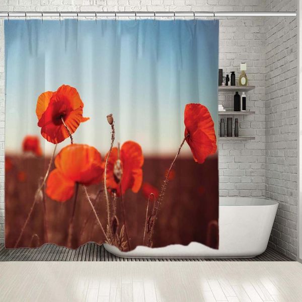 shower curtains curtain wild poppy flowers horse summer meadow wildflowers at sunrise nature landscape blue orange brown
shower curtains curtain wild poppy flowers horse summer meadow wildflowers at sunrise nature landscape blue orange brown