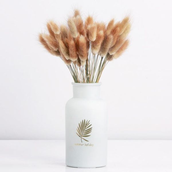 pcs natural dried flowers bunch tail grass for home wedding decoration real flower bouquet no vase decorative & wreaths
pcs natural dried flowers bunch tail grass for home wedding decoration real flower bouquet no vase decorative & wreaths
