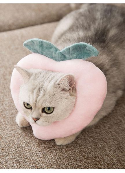cat collars & leads elizabeth circle anti-bite anti-licking soft breathable anti-scratch cap protector neck recovery
cat collars & leads elizabeth circle anti-bite anti-licking soft breathable anti-scratch cap protector neck recovery