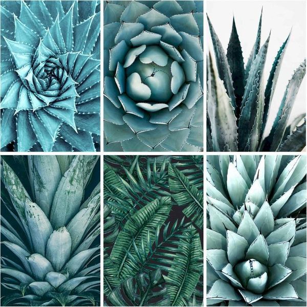 paintings ruopoty diy painting by number plant leaf landscape paint canvas picture oil coloring numbers hand painted gift
paintings ruopoty diy painting by number plant leaf landscape paint canvas picture oil coloring numbers hand painted gift