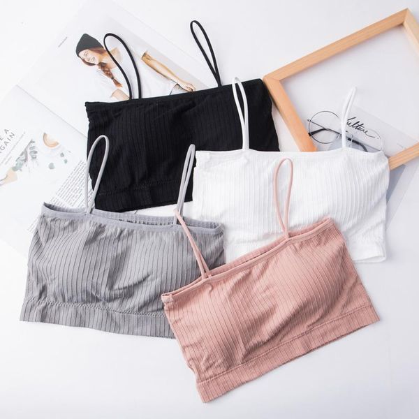 bustiers & corsets push up solid bra elastic gathering bralette wrap chest tube seamless underwear lingerie shoulder strap threaded beau, Black;white
bustiers & corsets push up solid bra elastic gathering bralette wrap chest tube seamless underwear lingerie shoulder strap threaded beau, Black;white
