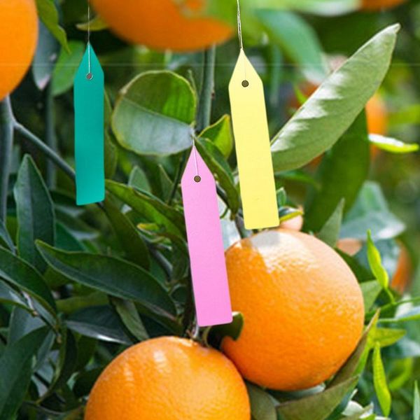100pcs tree fruits seedling garden flower pot plastic sign reusable pvc plants hole tag labels classification name card other supplies
100pcs tree fruits seedling garden flower pot plastic sign reusable pvc plants hole tag labels classification name card other supplies