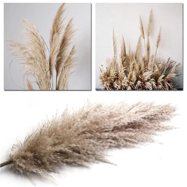1pcs 30-55cm natural/white big reed dried flowers pampas decoration phragmites wedding tools bunch party grass flower n9t0 decorative & wrea
1pcs 30-55cm natural/white big reed dried flowers pampas decoration phragmites wedding tools bunch party grass flower n9t0 decorative & wrea