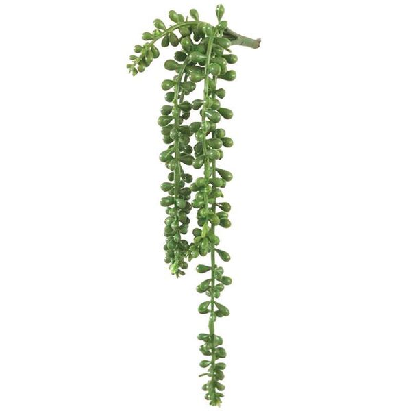 decorative flowers & wreaths artificial plant wall hanging string of pearls fake succulent for home decoration wedding living room table dec
decorative flowers & wreaths artificial plant wall hanging string of pearls fake succulent for home decoration wedding living room table dec