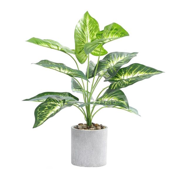 plastic lifelike 12 leaves home office simulation bonsai gift desk farmhouse decor artificial potted fake plant indoor outdoor decorative fl
plastic lifelike 12 leaves home office simulation bonsai gift desk farmhouse decor artificial potted fake plant indoor outdoor decorative fl