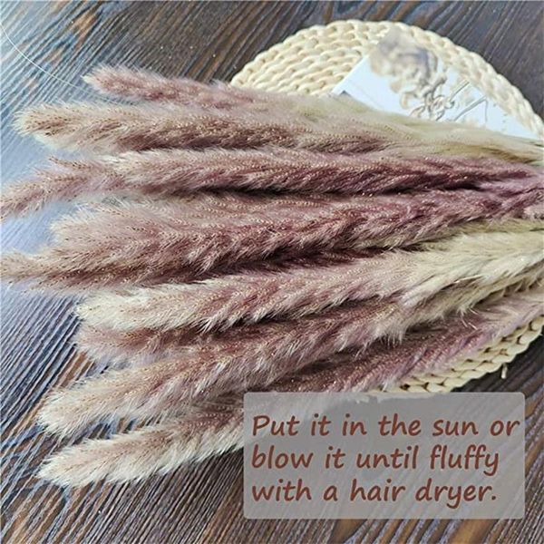 decorative flowers & wreaths bulrush natural dried artificial plants branch colorful ins pampas grass phragmites fake flower wedding home de
decorative flowers & wreaths bulrush natural dried artificial plants branch colorful ins pampas grass phragmites fake flower wedding home de