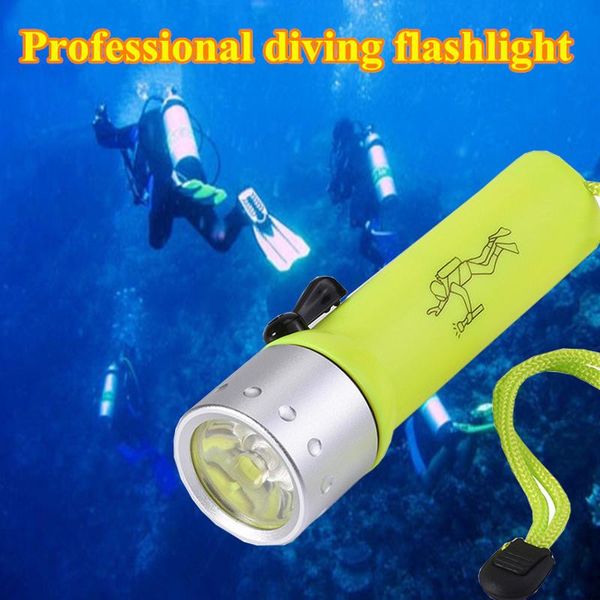 2psc ipx6 waterproof led mini powerful light multi-function professional diving hunting outdoor lighting flashlights torches
2psc ipx6 waterproof led mini powerful light multi-function professional diving hunting outdoor lighting flashlights torches