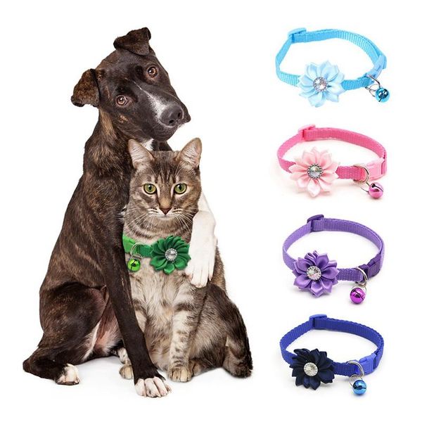 cat collars & leads pet collar bell flower adjustable easy wear buckle dog bells lovely necklace supplies accessories
cat collars & leads pet collar bell flower adjustable easy wear buckle dog bells lovely necklace supplies accessories