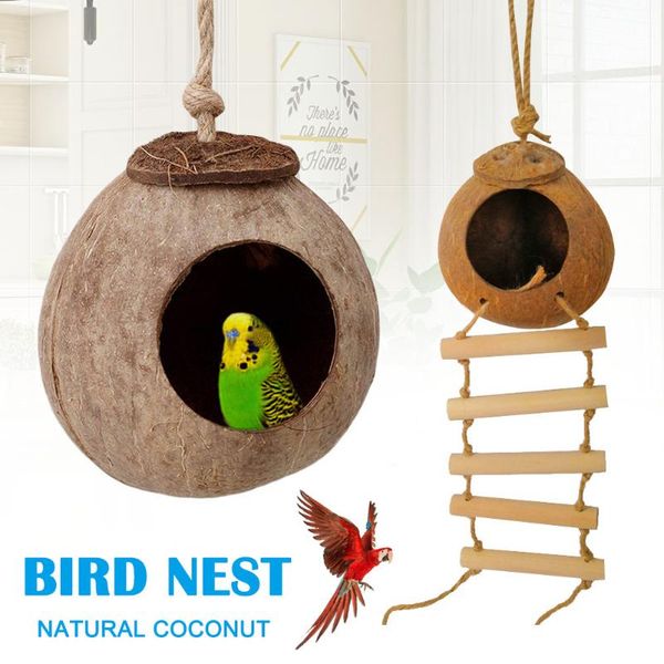 ly birds coconut shell breeding nest parrots hamster climb ladder swing hanging toy bird cages
ly birds coconut shell breeding nest parrots hamster climb ladder swing hanging toy bird cages