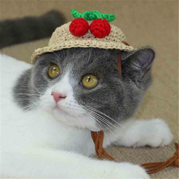 dog apparel cute straw hat cap with adjustable chin string funny cherry party costume handmade grooming hair wedding accessories
dog apparel cute straw hat cap with adjustable chin string funny cherry party costume handmade grooming hair wedding accessories