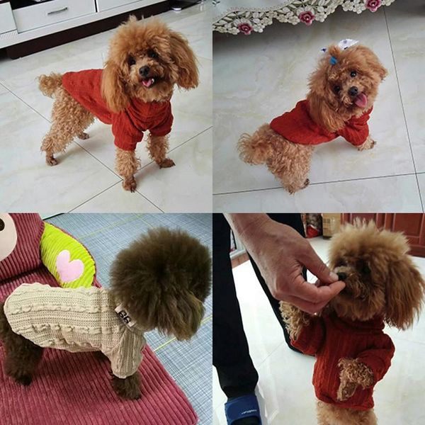 dog apparel jacket sweater pet jackets vest clothes cat puppy coat small winter warm knitting sweaters costume 2
dog apparel jacket sweater pet jackets vest clothes cat puppy coat small winter warm knitting sweaters costume 2