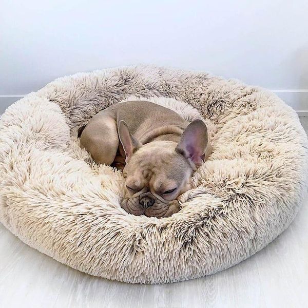 kennels & pens dog cat litter round long-hair mat autumn and winter warm mattress pet home entertainment 2021 
kennels & pens dog cat litter round long-hair mat autumn and winter warm mattress pet home entertainment 2021
