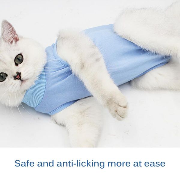 cat costumes breathable recovery suit sterilization care pet kitten anti bite prevent lick after wear summer vest
cat costumes breathable recovery suit sterilization care pet kitten anti bite prevent lick after wear summer vest