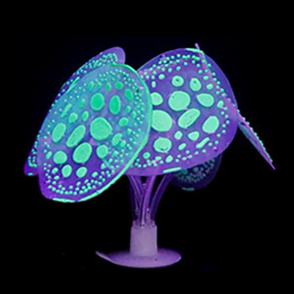 silicone artificial coral fluorescent aquarium ornament fish tank decoration underwater plant decorations
silicone artificial coral fluorescent aquarium ornament fish tank decoration underwater plant decorations