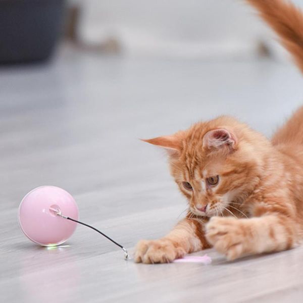 cat toys smart interactive toy lrregular rotating mode cats funny pet game electronic led light feather with catnip
cat toys smart interactive toy lrregular rotating mode cats funny pet game electronic led light feather with catnip