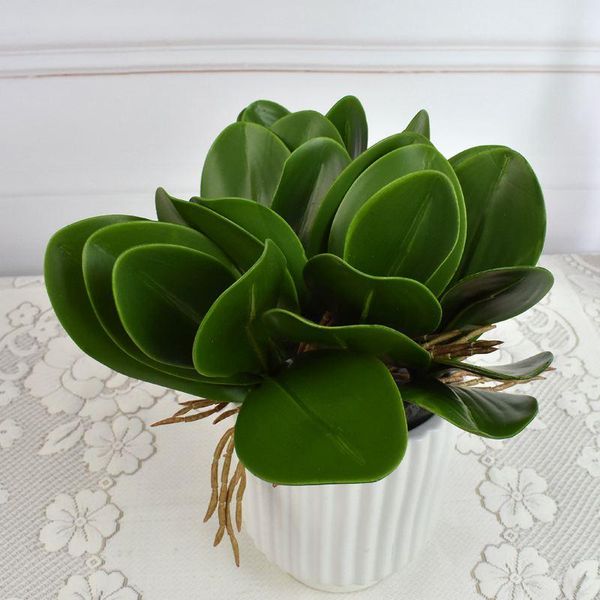 artificial flower leaves of phalaenopsis moth orchid leaf green bundle decorative flowers & wreaths
artificial flower leaves of phalaenopsis moth orchid leaf green bundle decorative flowers & wreaths