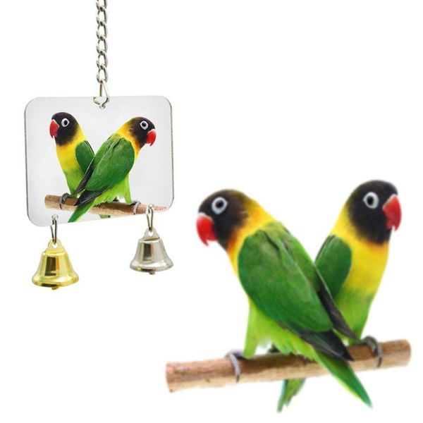 other bird supplies funny non-toxic parrot mirror cute shaped hanging bell pet playing toys cage decoration for parakeets cockatiels
other bird supplies funny non-toxic parrot mirror cute shaped hanging bell pet playing toys cage decoration for parakeets cockatiels