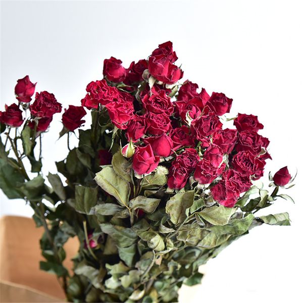 5pcs rea natura dried rose fowers bouquet dried fower for home decoration 3-5 fowers per branch
5pcs rea natura dried rose fowers bouquet dried fower for home decoration 3-5 fowers per branch