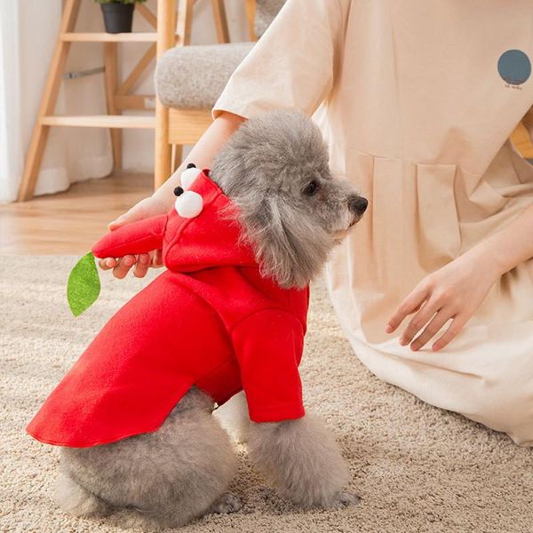 dog apparel cute funny coat tweed transfiguration dress pet winter fleece jackets for puppy chihuahua bichon clothing
dog apparel cute funny coat tweed transfiguration dress pet winter fleece jackets for puppy chihuahua bichon clothing