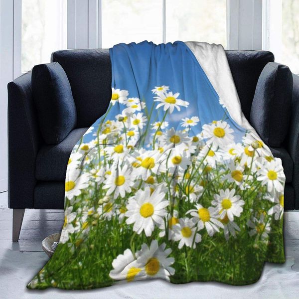 White Daisy Flower Meadow Blue Sky Lightweight Flannel Blanket Bedding Throw to The Sofa, Travel, Warm and Comfortable50 x40 for
White Daisy Flower Meadow Blue Sky Lightweight Flannel Blanket Bedding Throw to The Sofa, Travel, Warm and Comfortable50 x40 for