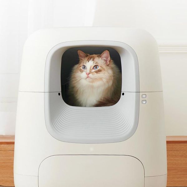 other cat supplies automatic litter basin deodorant electric fully enclosed box pet product toilet
other cat supplies automatic litter basin deodorant electric fully enclosed box pet product toilet