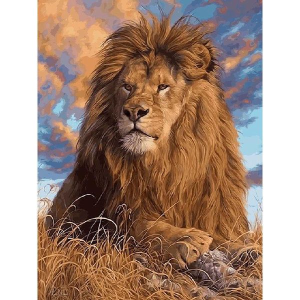 paintings lion paint by numbers coloring hand painted home decor kits drawing canvas diy oil painting pictures
paintings lion paint by numbers coloring hand painted home decor kits drawing canvas diy oil painting pictures