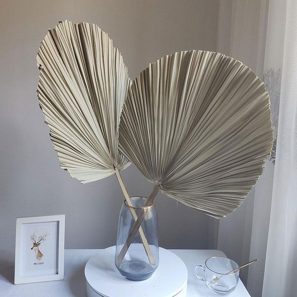 palm leaf fan dried flower window reception party art wall hanging decoration wedding arch arrangement decorative flowers & wreaths
palm leaf fan dried flower window reception party art wall hanging decoration wedding arch arrangement decorative flowers & wreaths