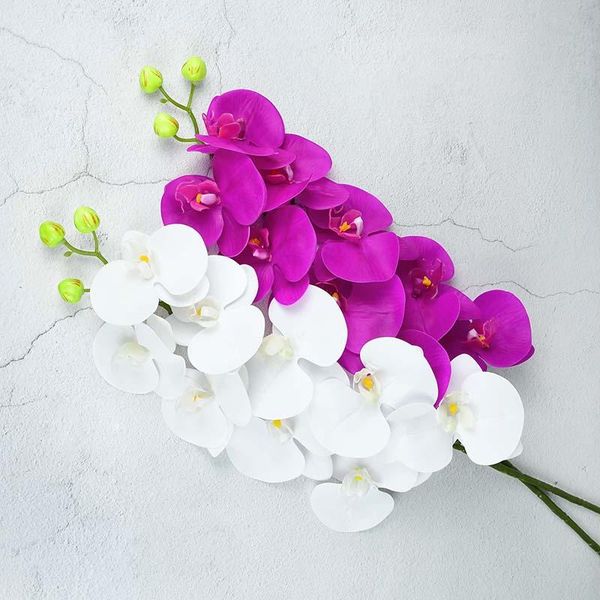 decorative flowers & wreaths 1pc 9heads 100cm artificial orchid butterfly phalaenopsis real touch wedding festival home fake flower decorati
decorative flowers & wreaths 1pc 9heads 100cm artificial orchid butterfly phalaenopsis real touch wedding festival home fake flower decorati