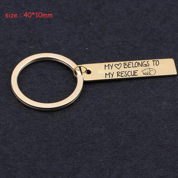 keychains engraved my heart belongs to rescue cat stainless steel keychain for adopt a the host gift lady key ring holder, Silver
keychains engraved my heart belongs to rescue cat stainless steel keychain for adopt a the host gift lady key ring holder, Silver