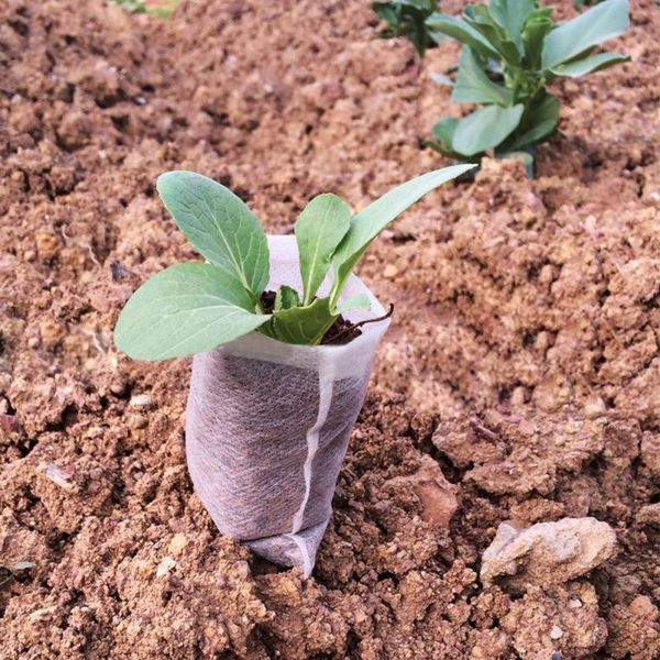 planters & pots 500pcs non-woven nursery bags seed flower vegetable planting grow fabric seedling
planters & pots 500pcs non-woven nursery bags seed flower vegetable planting grow fabric seedling