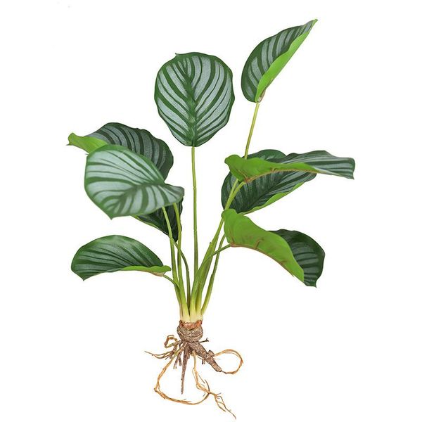 decorative flowers & wreaths 1 bunch 6/9/12 heads bamboo green simulation plant artificial plants for home garden decoration sansevieria bra
decorative flowers & wreaths 1 bunch 6/9/12 heads bamboo green simulation plant artificial plants for home garden decoration sansevieria bra