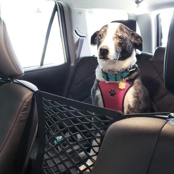 pet barrier dog car net with auto safety mesh organizer baby stretchable storage bag universal for cars seat covers
pet barrier dog car net with auto safety mesh organizer baby stretchable storage bag universal for cars seat covers