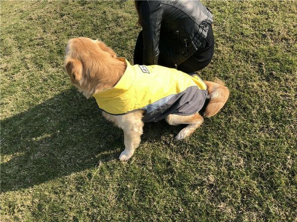 fleece warm pet dog coat winter jacket clothes sweater waterproof apparel wholesale
fleece warm pet dog coat winter jacket clothes sweater waterproof apparel wholesale