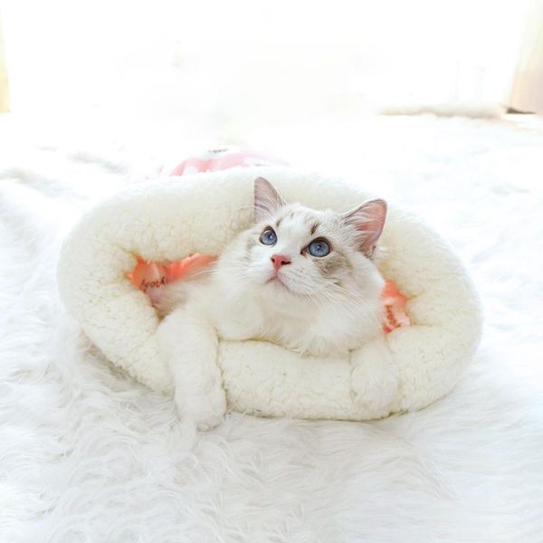 cat beds & furniture winter sleeping bag small dog fleece sleep bed puppy kitten flannel tunnel washable pet nest
cat beds & furniture winter sleeping bag small dog fleece sleep bed puppy kitten flannel tunnel washable pet nest