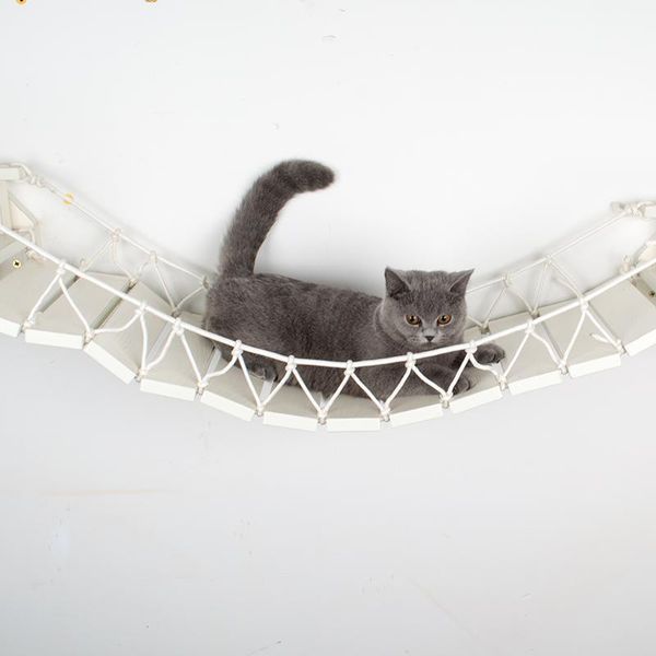 cat toys wall mount wood ladder scratcher post tree kitten climbing bridge lounge pet bed furniture jumping platform
cat toys wall mount wood ladder scratcher post tree kitten climbing bridge lounge pet bed furniture jumping platform