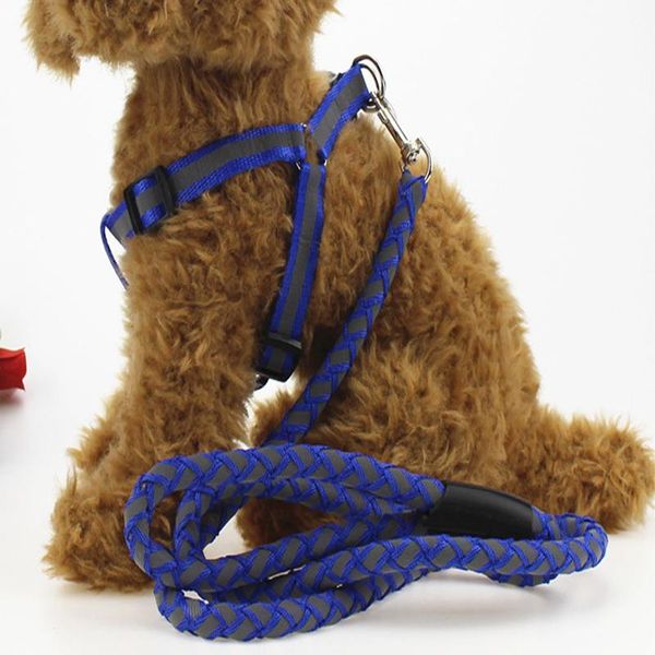 fashion nylon pet led dog leash night safety flashing glow supplies dogs collar width 2.0cm 2.5cmsize m/l collars & leashes
fashion nylon pet led dog leash night safety flashing glow supplies dogs collar width 2.0cm 2.5cmsize m/l collars & leashes