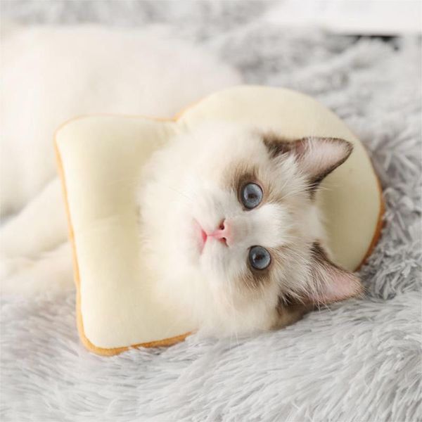cat collars & leads adjustable bread shape pet protective collar cotton blends neck cover dog anti-bite wound healing dogs
cat collars & leads adjustable bread shape pet protective collar cotton blends neck cover dog anti-bite wound healing dogs