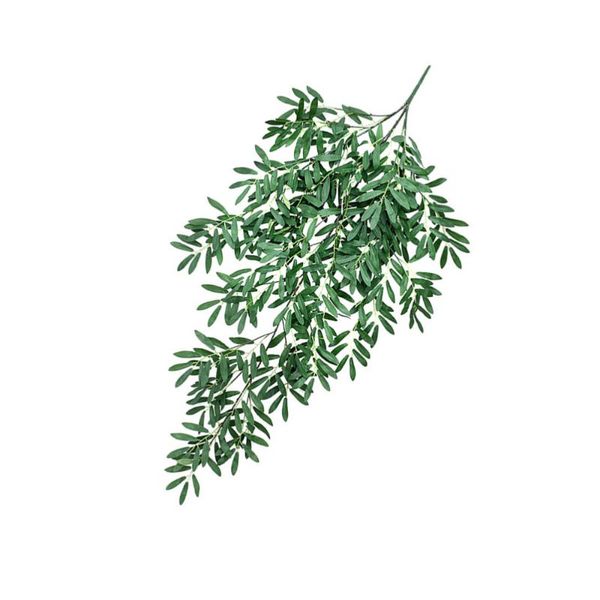 decorative flowers & wreaths 1 pc realistic green creative practical christmas wall hangings simulated olive leaf
decorative flowers & wreaths 1 pc realistic green creative practical christmas wall hangings simulated olive leaf