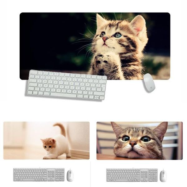 mouse pads & wrist rests cat gamer play mats mousepad x xl xxl non-slip cushion thickness 2mm lockedge equal le
mouse pads & wrist rests cat gamer play mats mousepad x xl xxl non-slip cushion thickness 2mm lockedge equal le