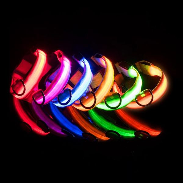 dog collars & leashes glow collar can be charged night light pet teddy golden hair small fluorescent lights to prevent loss
dog collars & leashes glow collar can be charged night light pet teddy golden hair small fluorescent lights to prevent loss