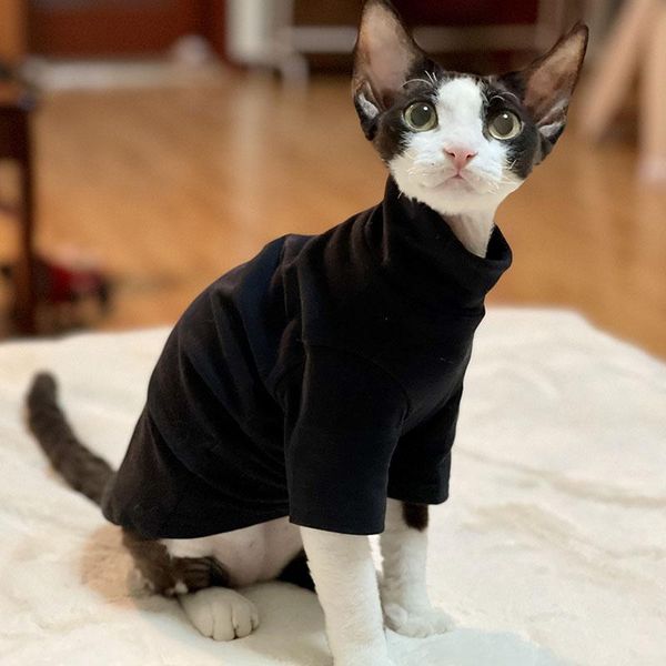 cat costumes stock clean sphynx clothes thin baby soft cotton hairless pajamas kitten fashion
cat costumes stock clean sphynx clothes thin baby soft cotton hairless pajamas kitten fashion