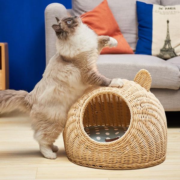 cat beds & furniture environmentally bed house rattan 3 colors summer pet cave for cats puppy kitten accessories home
cat beds & furniture environmentally bed house rattan 3 colors summer pet cave for cats puppy kitten accessories home